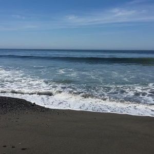 Meet your Posher, Larry